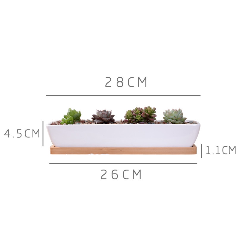 1-Set-Minimalist-Geometry-White-Ceramic-Succulent-Plant-Pot-Bonsai-Planter-Porcelain-Flower-Pot-Home-Decor-1