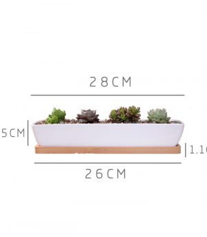 1-Set-Minimalist-Geometry-White-Ceramic-Succulent-Plant-Pot-Bonsai-Planter-Porcelain-Flower-Pot-Home-Decor-1